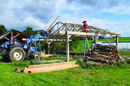 Host a Robust Farm Internship Program Image